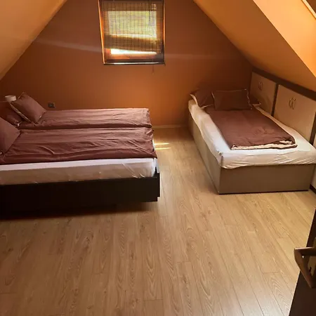 Diofa Siófok